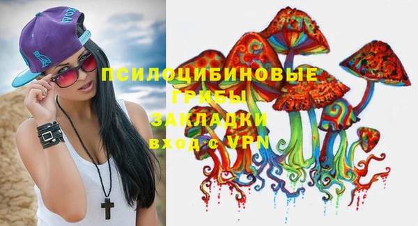 твердый Аркадак