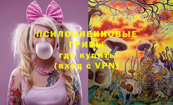 твердый Аркадак