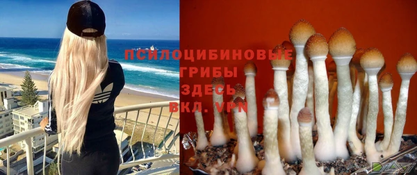 таблы Арсеньев
